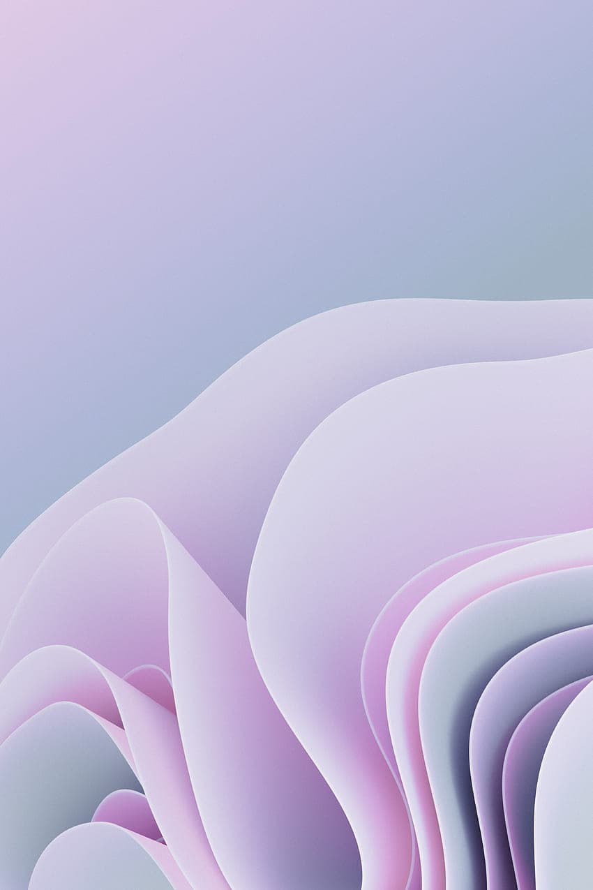 Albert Studio Platform